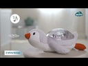 Tranquil Penguin