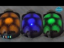 Twilight Turtle - Blue *
