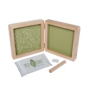 Double Frame - Olive Tree