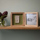 Double Frame - Olive Tree
