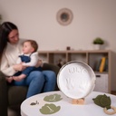 Birth Gift Set - Petit Artichaut