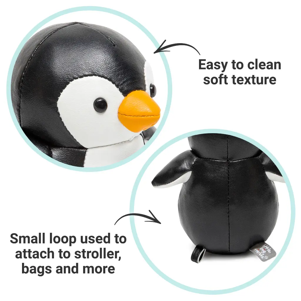 5_LBF_Martin_The_Penguin_Hero5.webp