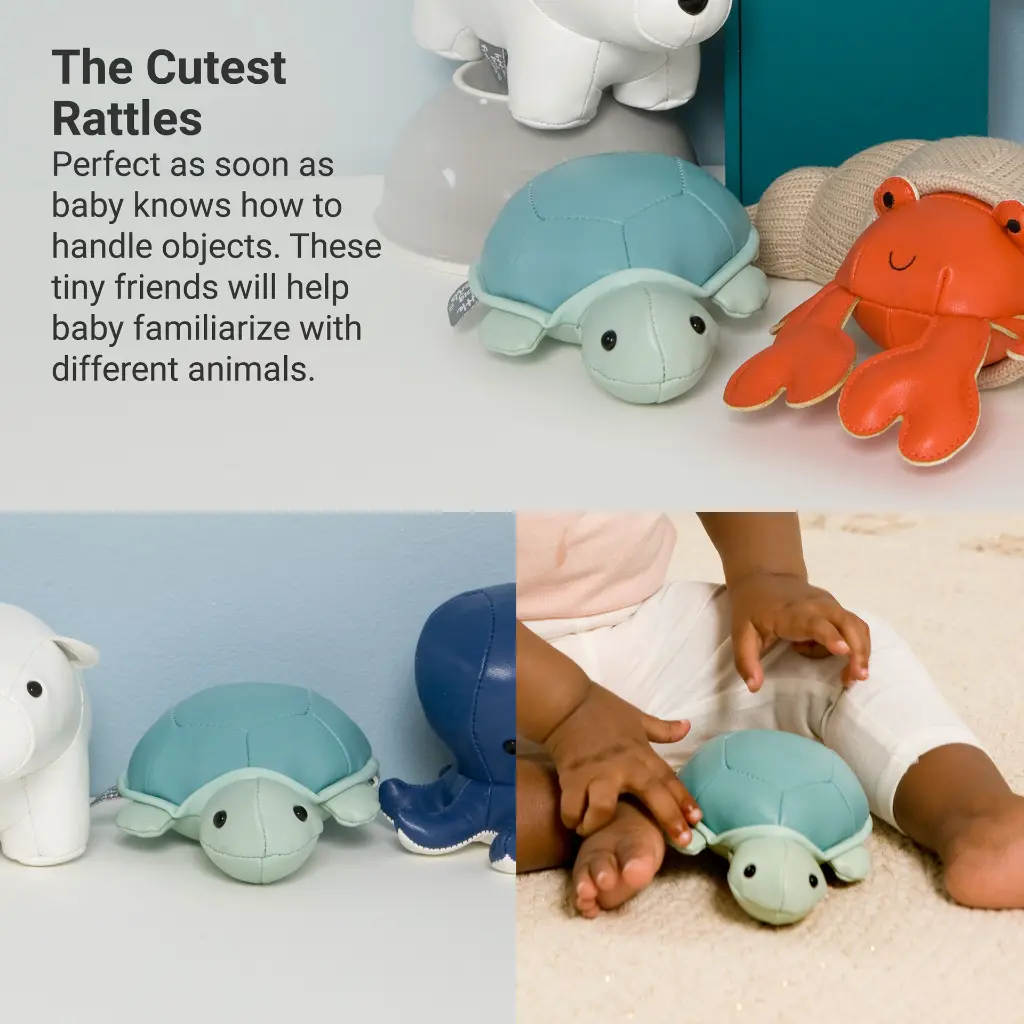 3_LBF_Emile_The_Turtle_Hero3.webp
