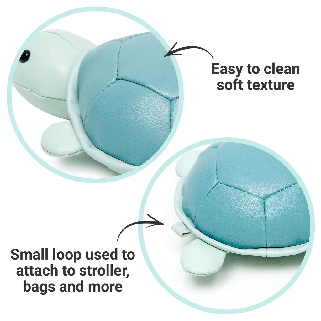5_LBF_Emile_The_Turtle_Hero5.webp