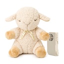 Sleep Sheep