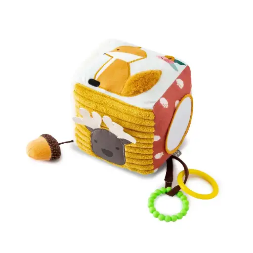 [304461] Activity Cube - Forest